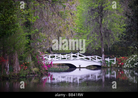 USA, South Carolina, Magnolia Gardens. Holzsteg spiegelt sich im Teich. Stockfoto