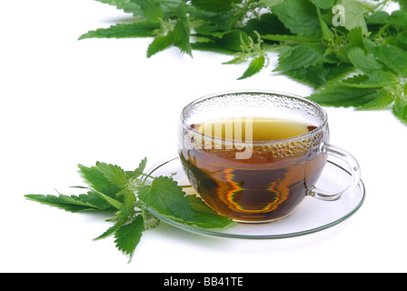 T-Stück hiesiges Tee Brennessel 01 Stockfoto