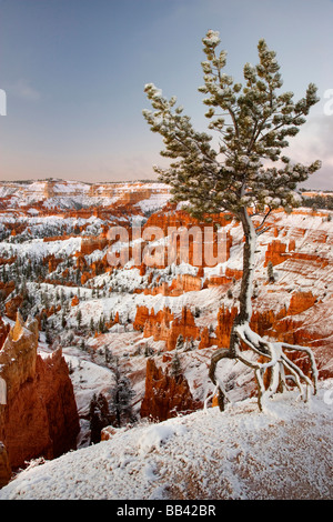 USA, Utah, Bryce Canyon Nationalpark. Ansicht des Bryce Canyon im Winter. Stockfoto