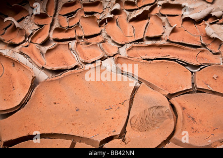 Utah, Paria Canyon-Vermillion Cliffs Wilderness, Buckskin Gulch, 21 Meile lange Slotcanyon, Schlamm-Muster auf dem Boden des Canyons Stockfoto