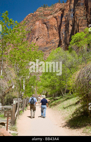 Utah, Zion National Park, Wandern auf dem River Walk trail Stockfoto