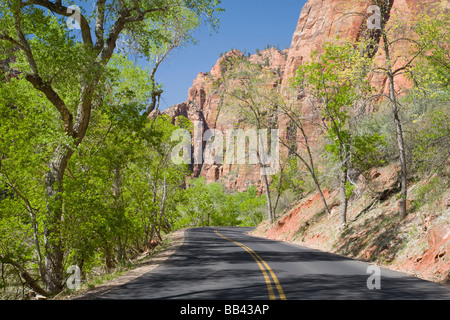 Utah, Zion National Park, Zion Canyon road Stockfoto