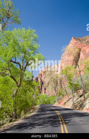 Utah, Zion National Park, Zion Canyon road Stockfoto