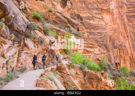 Zion National Park in Utah Wanderer auf niedrigere Angels Landing trail Stockfoto