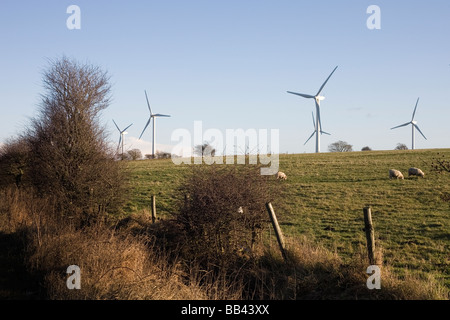 Windkraftanlagen in der Nähe von Harrogate North Yorkshire Dez 2008 Stockfoto