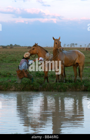 Nach einem anstrengenden Workiing mit Vieh auf der Estancia Ibera, Esteros del Ibera abkühlen Gauchos ihre Pferde mit Wasser aus einem Teich, Stockfoto