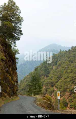 NA, USA, Kalifornien, Siskiyou County, Klamath National Forest, Gabeln von Lachs, Säger Bar Straße Stockfoto