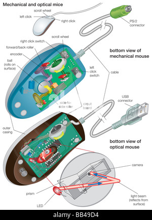Die unteren Ansichten von einer mechanischen und einer optischen Maus, Detaillierung ihrer Komponenten. Stockfoto