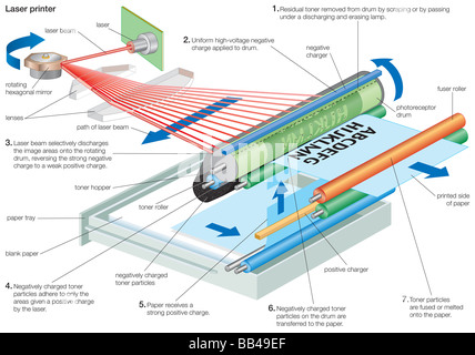 Diagramm des Betriebsprozesses eines Laserdruckers. Stockfoto