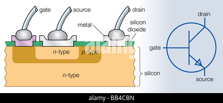 Querschnitt eines n-p-n-Transistors und deren elektronische Symbol. Stockfoto