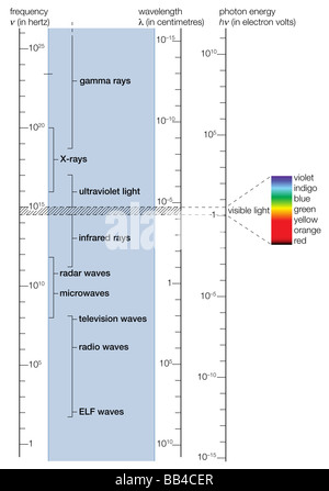 Elektromagnetischen Spektrums. Im sichtbare Bereich (schattierter Teil) ist auf der rechten Seite vergrößert dargestellt. Stockfoto