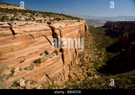 Colorado, Grand Junction, Colorado National Monument. Red Canyon. Stockfoto