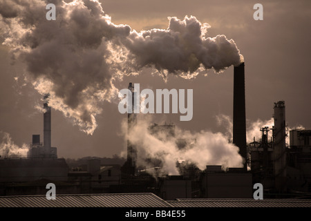 ZUCKERRÜBEN-FABRIK IN BURY ST EDMUNDS HAUSE VON BRITISH SUGAR Stockfoto