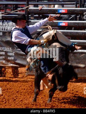 Rodeo Bull Rider Leistung an der Texas State Fair Rodeo Arena/Dallas 2008 Stockfoto