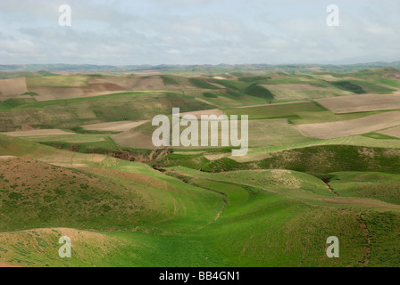 Sanfte Hügel sind mit Patchworks von trockenen Weizenfelder, Grün ab Frühlingsregen, in Kushk Bezirk von Herat Prov bedeckt. Stockfoto