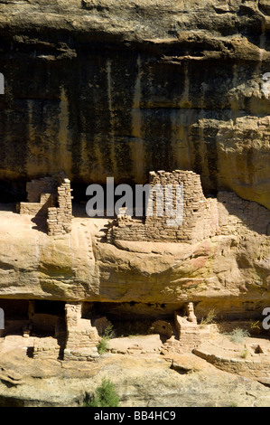 Colorado, Mesa Verde Nationalpark. Feuer-Tempel in Fewkes Canyon, eines nur 2 Tanz Plaza in Mesa Verde. Stockfoto