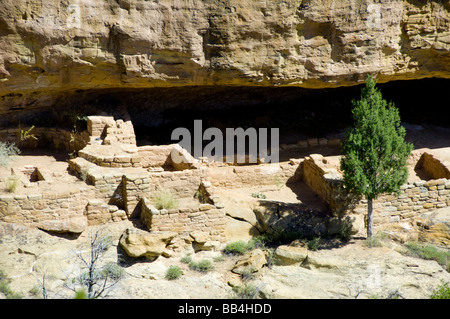 Colorado, Mesa Verde Nationalpark. Feuer-Tempel in Fewkes Canyon, eines nur 2 Tanz Plaza in Mesa Verde. Stockfoto