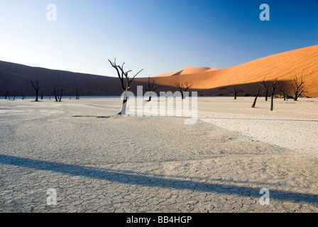 Deadvlei, Namibia - Januar (3): die Sonne geht über Deadvlei, eine Lehmpfanne, bekannt für seine tausend Jahre alten erhaltenen Toten Wald Stockfoto