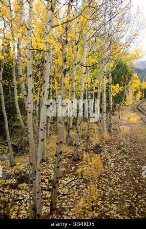 Colorado, Colorado Springs, Manitou Springs. Pikes Peak Cog Railway. Ansichten aus dem Zug. Stockfoto