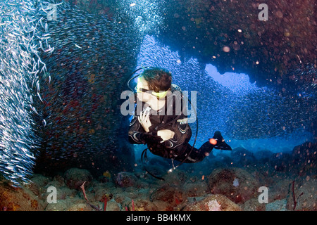 Ein Taucher schwimmt durch eine Schule der Fische im Meer um die karibische Insel Saba auf den niederländischen Antillen Stockfoto