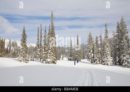 Mount Rainier Nationalpark, WA Cross Country Skifahrer, im Bereich Scheune Wohnungen Stockfoto