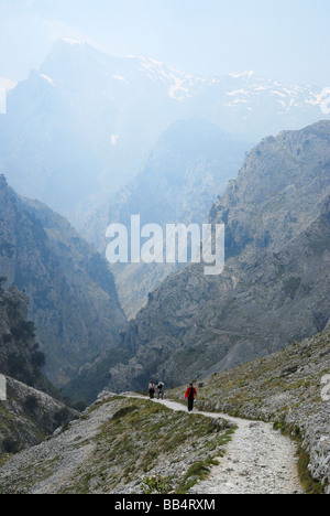 Wanderer auf dem Weg kümmert sich Schlucht, Picos de Europa, Asturien, Spanien Stockfoto