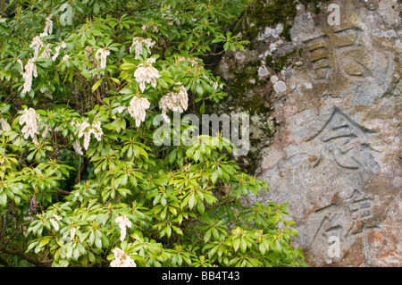 USA, WA, Seattle. Kubota Gärten Vorfrühling. Stockfoto