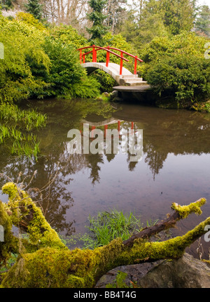 USA, WA, Seattle. Kubota Gärten Mond Brücke im zeitigen Frühjahr. Stockfoto