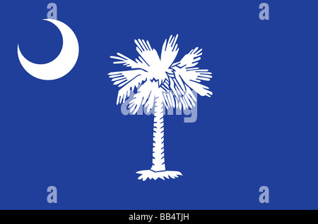 Staatsflagge von South Carolina Stockfoto