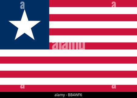 Historische Flagge der Vereinigten Staaten von Amerika. Die Marine Flagge der Republik von Texas wurde 10. Dezember 1836, an den Tannen genehmigt. Stockfoto
