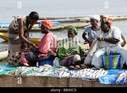 Senegal: Frauen verkaufen Fisch auf dem Fischmarkt im Hafen von Ziguinchor Stockfoto