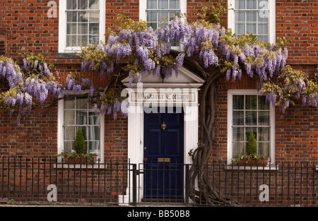 England Berkshire Cookham Sutton Road Glyzinien Ferienhaus Wisteria hing vor John Lewis Partnership Gebäude Stockfoto