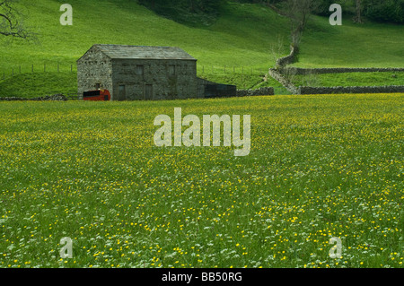 Scheune auf einem Feld am Muker im Swaledale Yorkshire Dales National Park Stockfoto