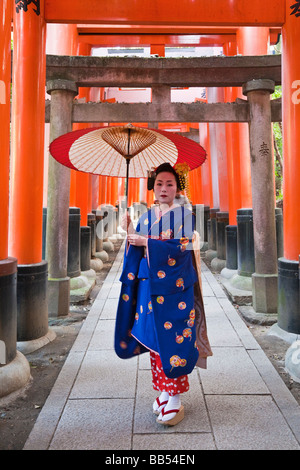 Geisha mit reich verzierten roten Regenschirm Fushimi Inari Taish, Kyoto, Kansai-Region, Honshu, Japan, Asien Stockfoto