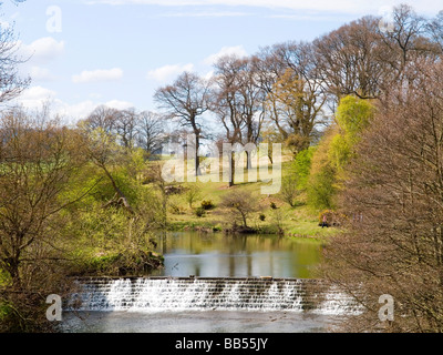 Blick auf einen malerischen Wehr am Fluss Aln in Alnwick, Northumberland North East England UK Stockfoto