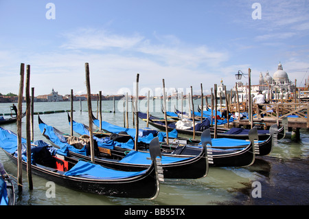 Gondeln vor Anker am Ufer, Canal Grande, Venedig, Provinz Venedig, Veneto Region, Italien Stockfoto