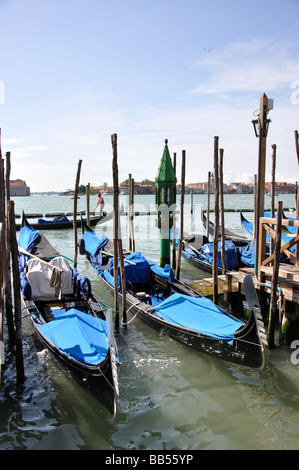 Gondeln vor Anker am Ufer, Canal Grande, Venedig, Provinz Venedig, Veneto Region, Italien Stockfoto