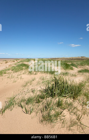 Birkdale Green Beach Stockfoto