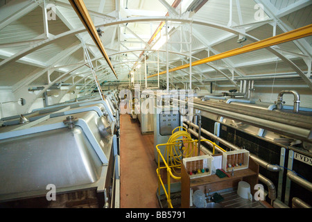 innen die Greene King Brauerei in Bury St Edmunds, Suffolk, UK Stockfoto