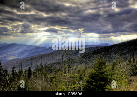 View from below Clingmans Kuppel, Smoky Mountains National Park, Tennessee (hoher Dynamikbereich Bild) Stockfoto