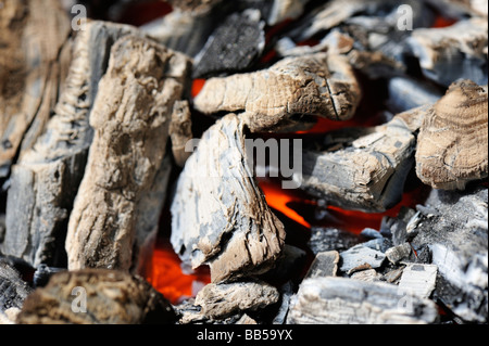 Holzkohle-Grill Stockfoto