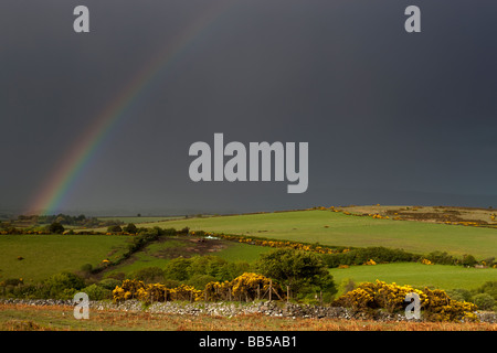 Regenbogen. Dartmoor. Devon. England. Europa Stockfoto