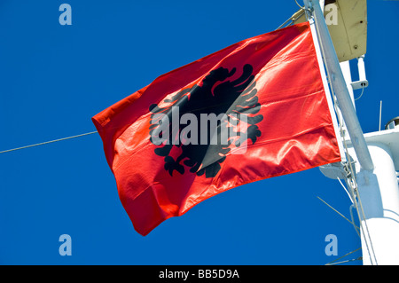 Die Nationalflagge der Republik Albanien rot mit einem schwarzen zwei headed Adler Stockfoto