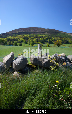 Hecke und trockenen Stein Wand Feldgrenze unter Slieve Gullion Mountain in den Ring der Gullion South County armagh Stockfoto