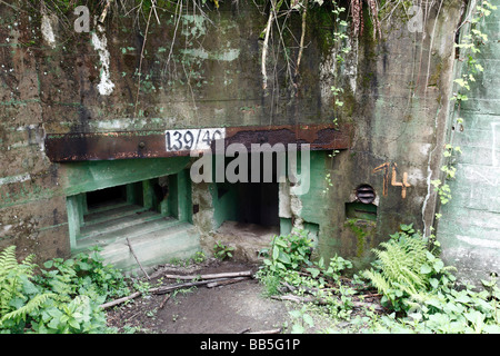 Bunker im Buhlert Holz in der Eiffel-Region Deutschlands, die Teil des Abwehrsystems Nazi Westwall im zweiten Weltkrieg Stockfoto