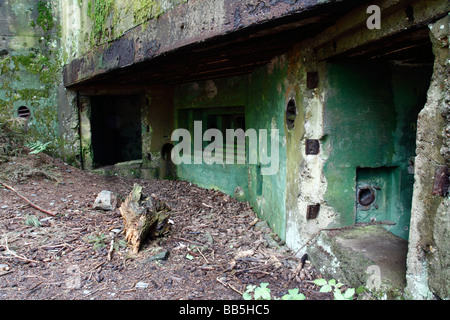 Bunker in Huertgen Wald in der Eiffel-Region Deutschlands, die Teil des Abwehrsystems Nazi Westwall im zweiten Weltkrieg Stockfoto