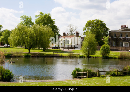 Teich am Schinken gemeinsame Richmond Upon Thames, Surrey England Stockfoto
