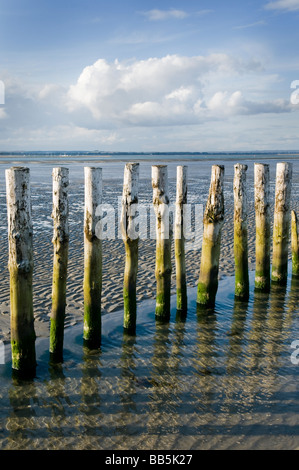 Wellenbrecher Beiträge an einem Strand in Südengland Stockfoto