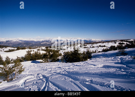 Greoliere Alpes-Maritimes 06 Frankreich Europa Stockfoto