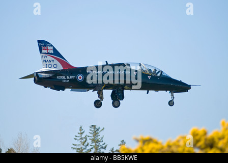 Flugzeug HS Hawk T1A TAF Nr. 4 FTS/208/(R) Sqn Tal Stockfoto